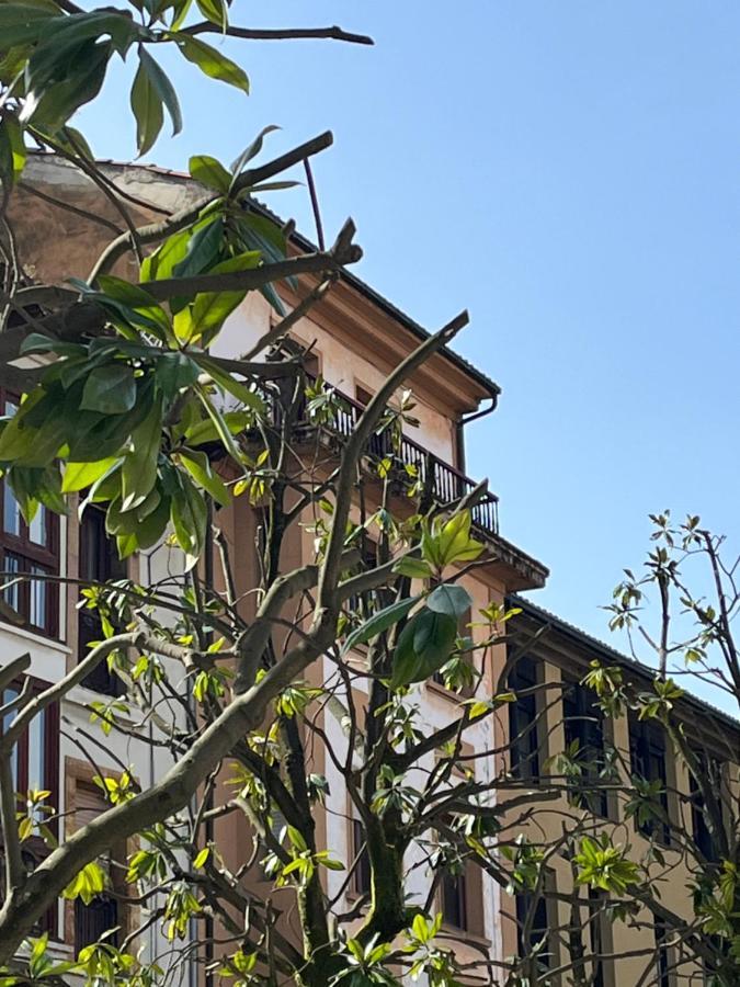 Apartamento Wamba - La Catedral Oviedo Kültér fotó